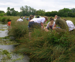 River Dipping